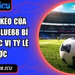 cách ra kèo của nhà cái Blue88