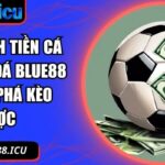 cách tính tiền cá độ bóng đá Blue88