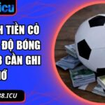 cách tính tiền cỏ trong cá độ bóng đá Blue88