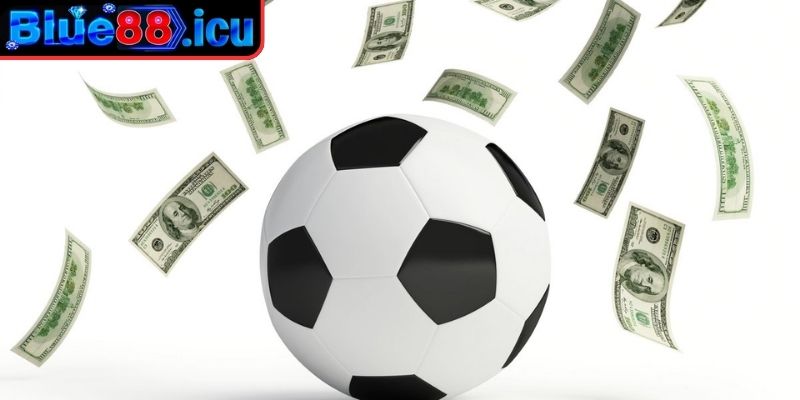 Cách Tính Tiền Cỏ Trong Cá Độ Bóng Đá Blue88 Cần Ghi Nhớ 2 Chính sách tính tiền cỏ linh hoạt khác