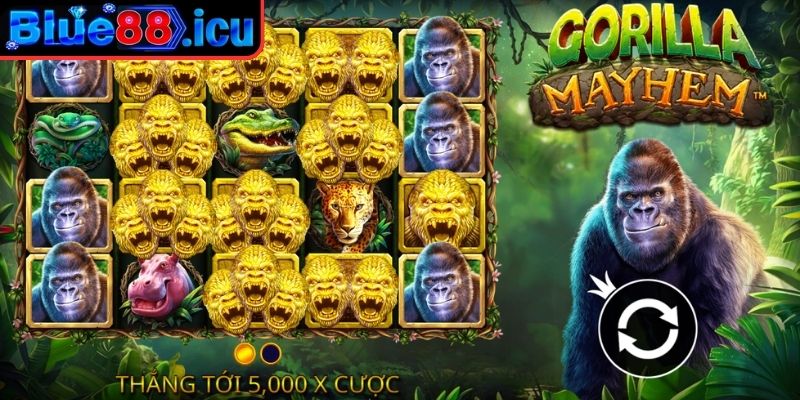 Gorilla Mayhem Blue88 - Slot Game Rừng Rậm Với Thưởng Khủng 1 Quy luật chơi game nổ hũ Gorilla Mayhem tại Blue88